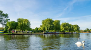 stratford canal